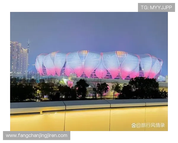 杭州足球队的节奏探讨：聚焦球队发展与球迷热情的交融之路