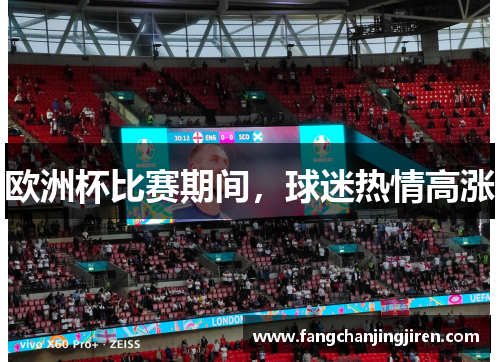 欧洲杯比赛期间，球迷热情高涨