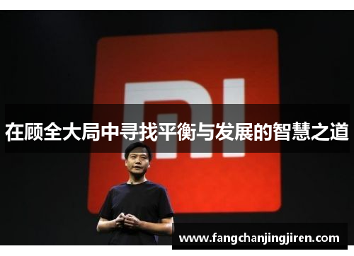 在顾全大局中寻找平衡与发展的智慧之道