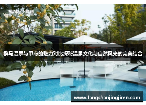 群马温泉与甲府的魅力对比探秘温泉文化与自然风光的完美结合