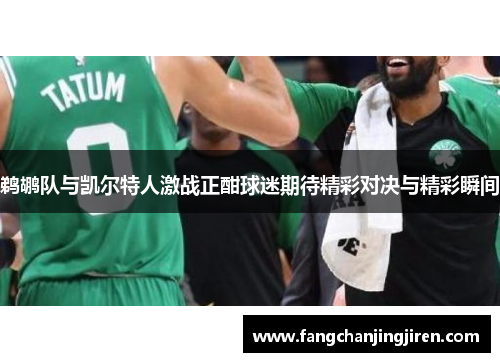 鹈鹕队与凯尔特人激战正酣球迷期待精彩对决与精彩瞬间